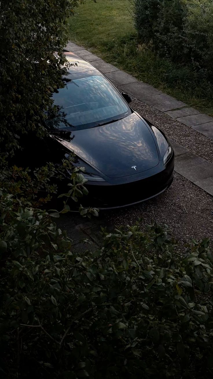 Tesla Model Y Juniper in sleek black finish