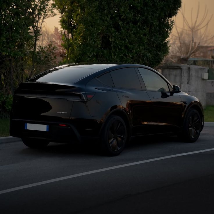 Tesla Model Y rear view at dusk